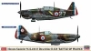 HAS01941_x.jpg