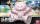 Bandai HG-BF048(207608) 1/144 Beargguy P [Pretty] {sealmodel code: 8.5}